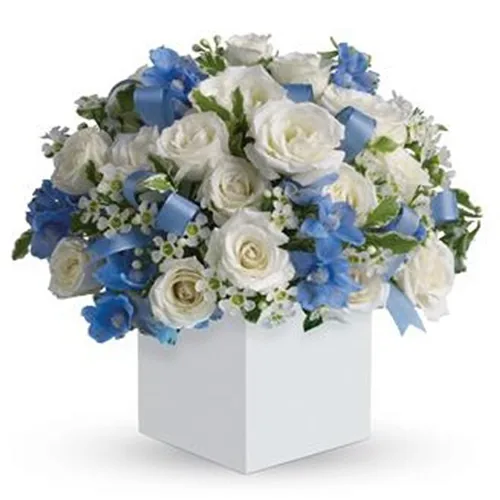 Box bianco e blu per nascita